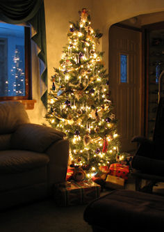 Our Tree 2007
